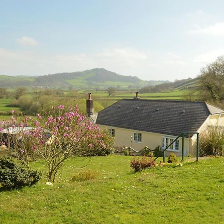 Bed and Breakfast Bryn Hebog Carmarthen Exterior foto
