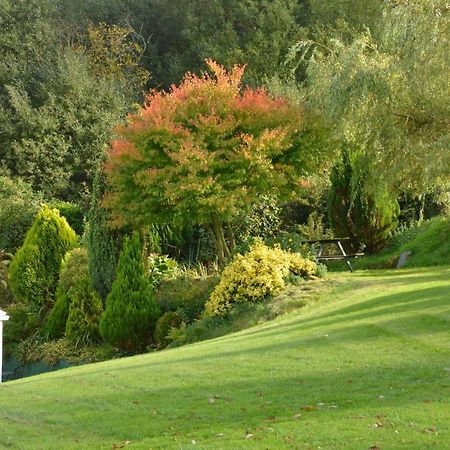 Bed and Breakfast Bryn Hebog Carmarthen Exterior foto